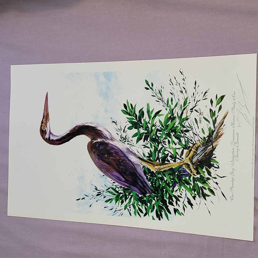 One Standup Guy Louisana Heron Limited Edition Print